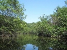 Laguna Jambelí